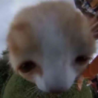 Janninator0